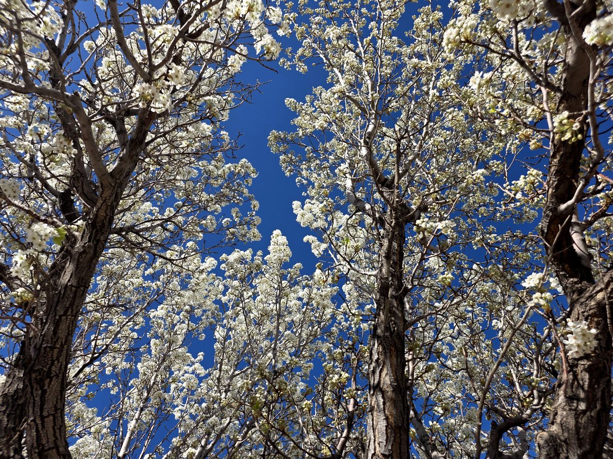 Jenny Fulton tweet media