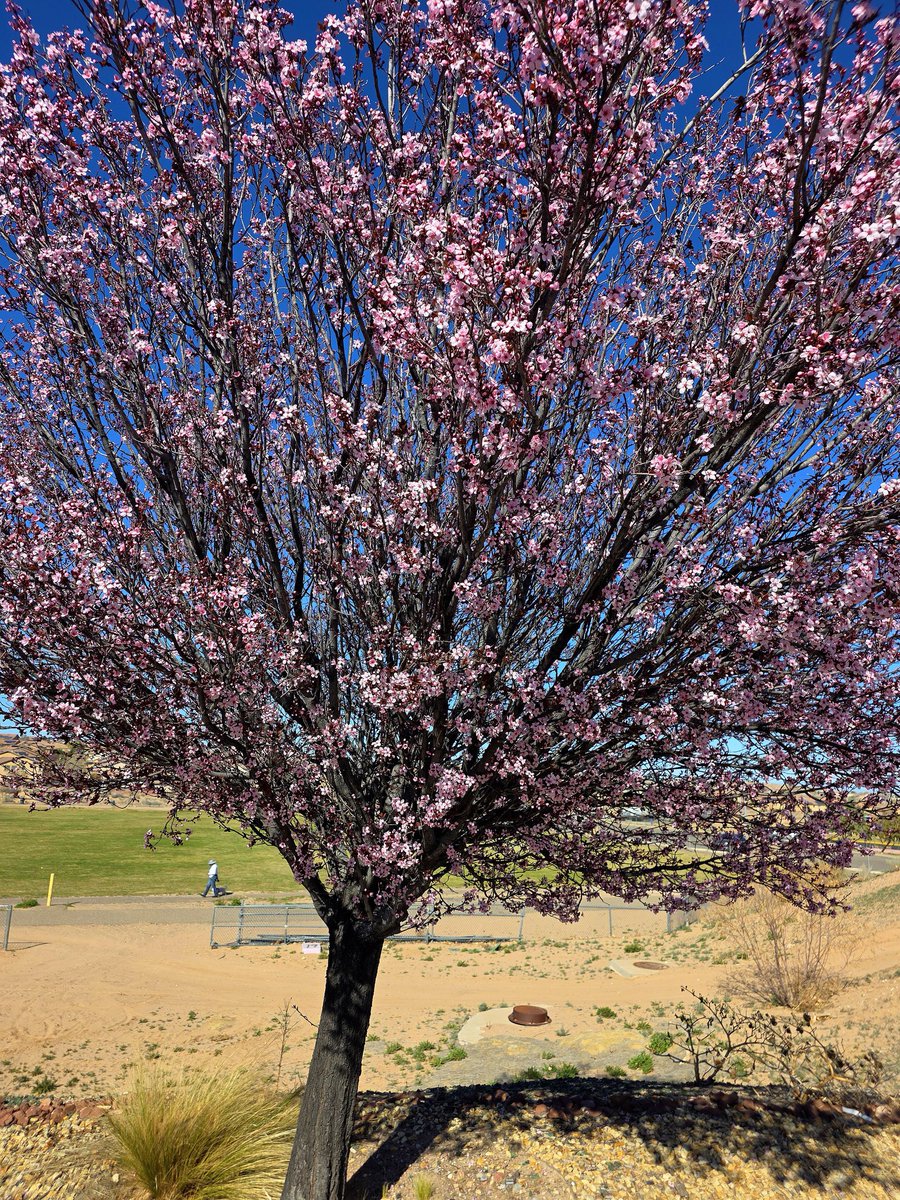 Jenny Fulton tweet media