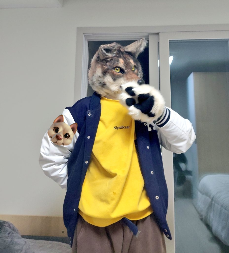 똥개의 반란 tweet media