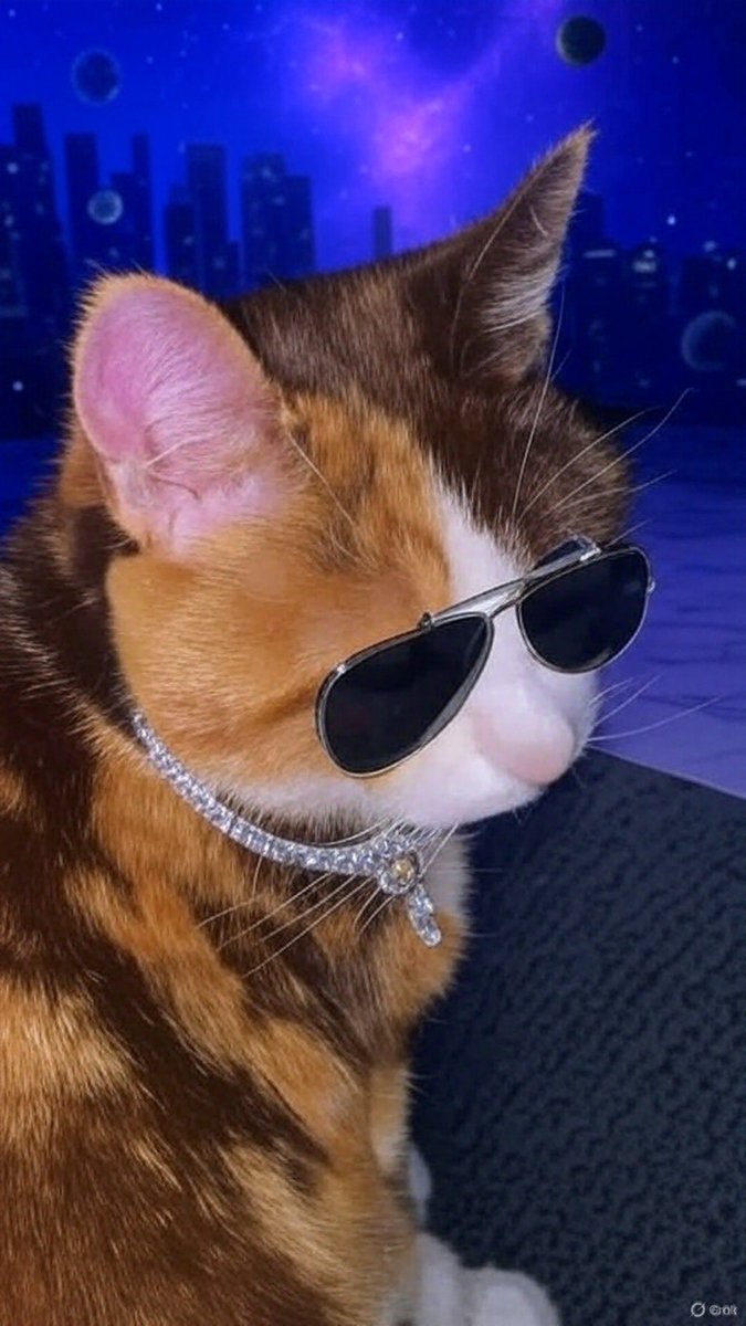 Excited to Announce the 3rd $K.T Giveaway 😸🚀

GIVE Away Post
1.) ~Follow
2.) ~ ❤️💚/ Rt ♻️ this Post
3.) ~ Winners will be determined by    3/14/26  

Drop Your $Sol Receive Address in the Comments 

#Phantomwallet #SolanaAirdrop 
(GLTA) Good Luck to All 😸🚀🍀💚📈