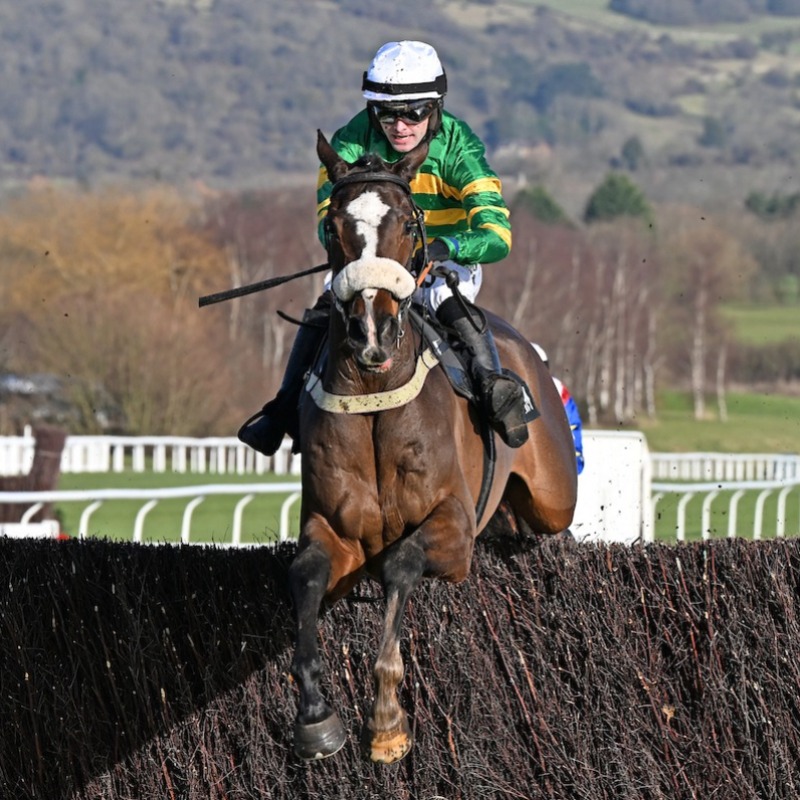 RacingTV's tweet photo. A host of @Race_IQ material to help your Cheltenham punting 🔞 👇🏻

◼️ @StevoGG what the stride data tells us about five key horses
◼️ Race IQ day one clues 
◼️ Race IQ Gold Cup clues
◼️ Stats &amp; facts for all four days
◼️ Download the official Race IQ pack for the 12 Grade Ones