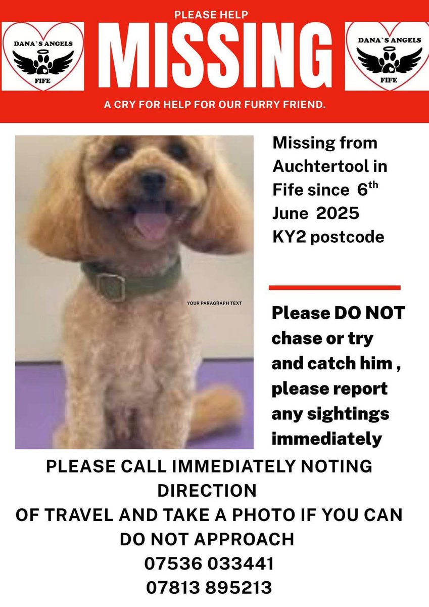 MissingPetsGB's tweet image. Nearly 9 months since Buddy went missing.
He is not forgotte not for a single second.

"I think back to this time last year &amp;amp; he was right here with us. We would never have imagined he wouldn’t be with us now."

Buddy missing since June 2025 from Auchtertool #FIFE #stolendoghour