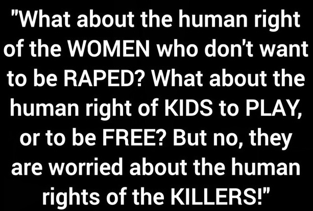 SparksN123 tweet media