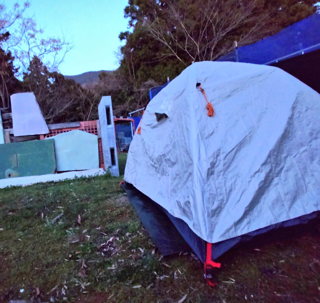 ムラたムラ tweet media