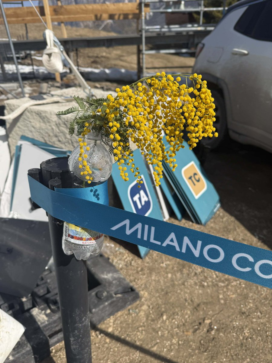 💐3月8日は国際女性デー💐

イタリアでも男性が女性に花を贈る習慣があるそうです
 
📸コルティナのスノーボード会場でミモザの花を見つけました
➡️ テーゼロ近くの宿でイタリアのチョコをもらいました
➡️パラクロスカントリースキーのメディアセンターの白板にも👀

#ミラノ・コルティナ2026 htt