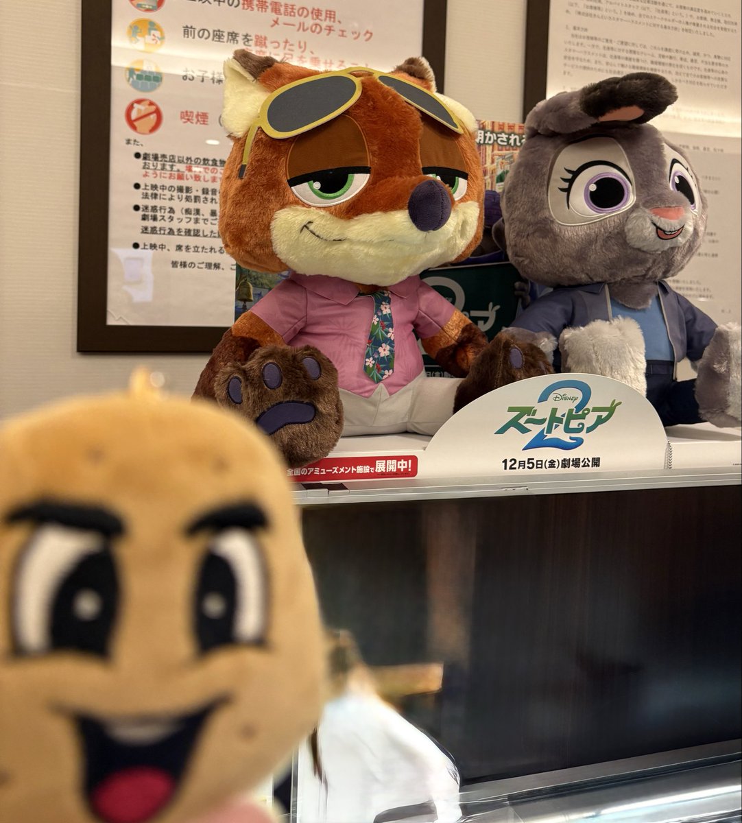 1000imfine's tweet photo. ギョンスが見逃したズートピア2見に行って、今日届いたじゃがいも🥔ギョンスと記念撮影してきました😉 https://t.co/9Xttx0wUDK