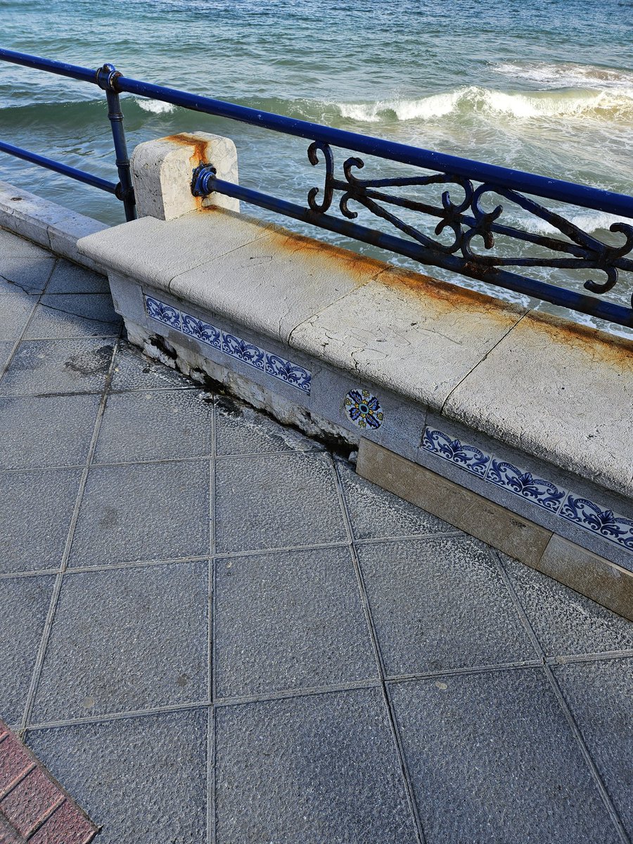 Tribunero Verdiblanco💚🤍💢 tweet media