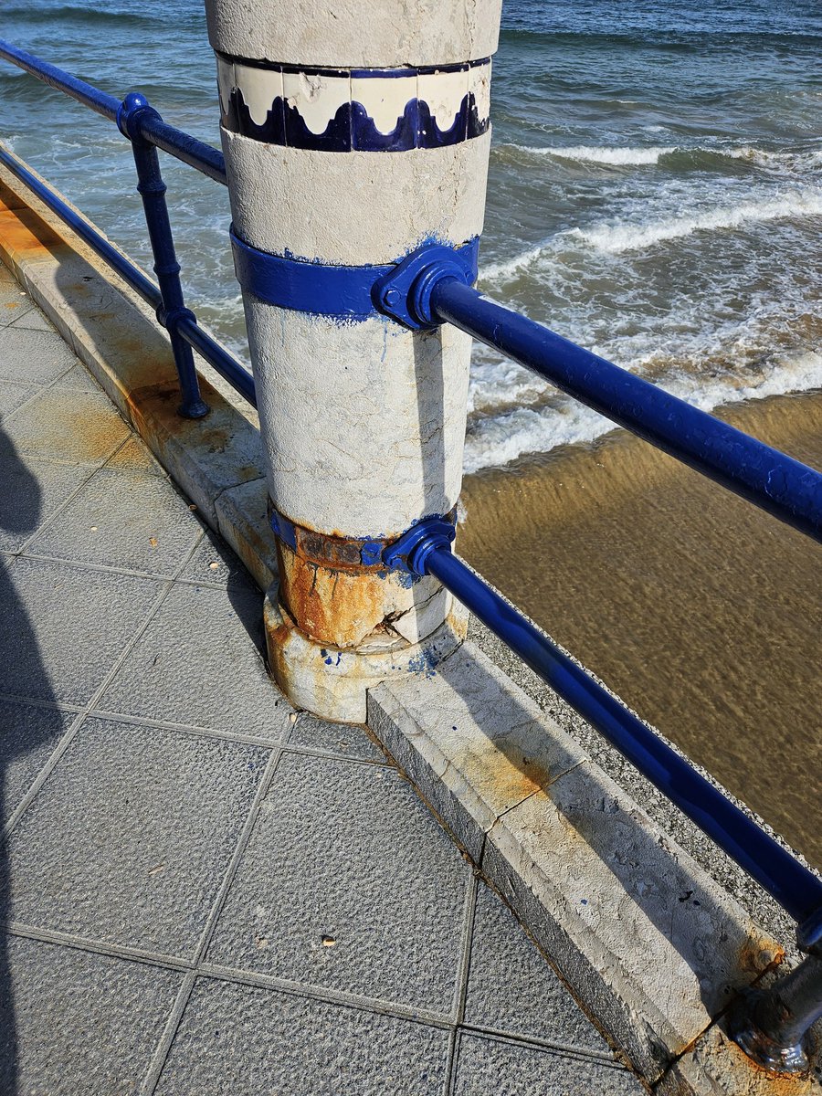 Tribunero Verdiblanco💚🤍💢 tweet media