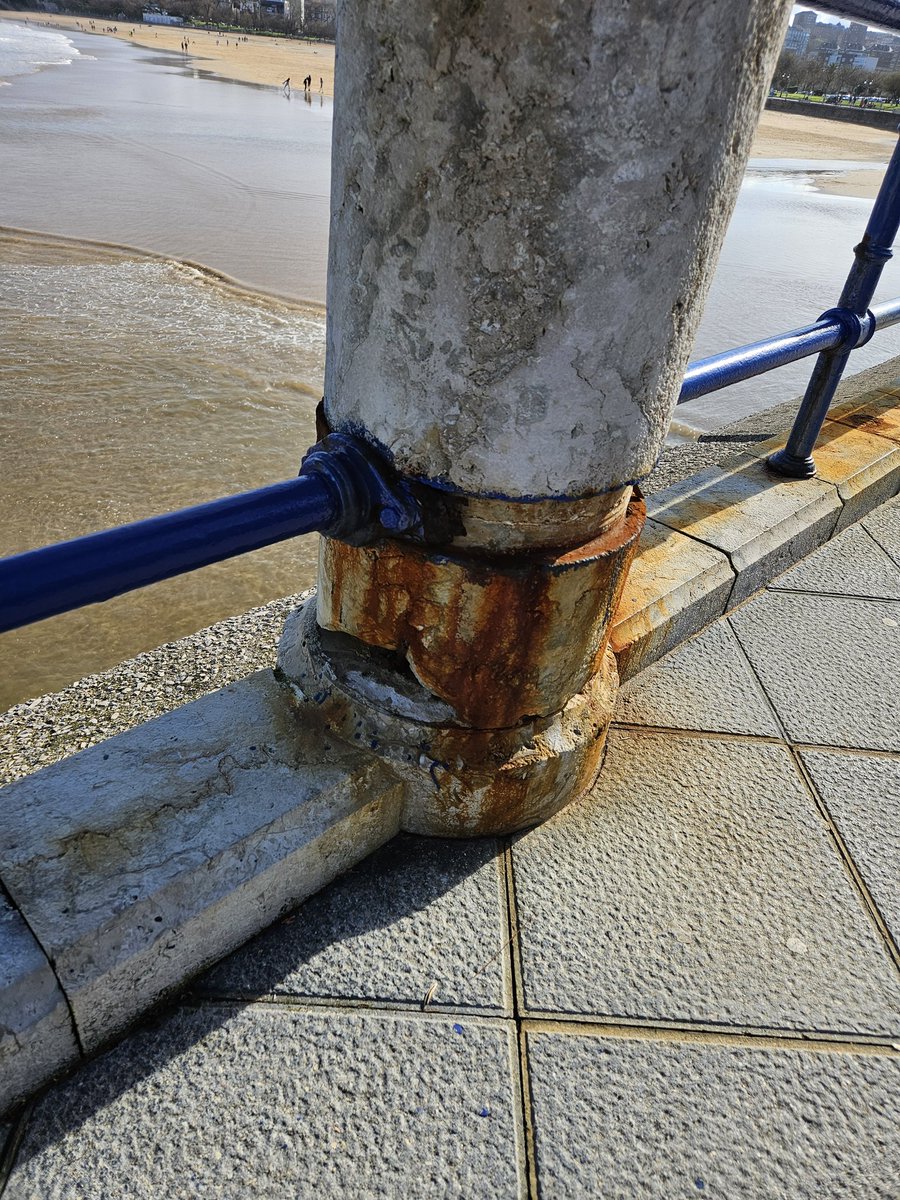 Tribunero Verdiblanco💚🤍💢 tweet media