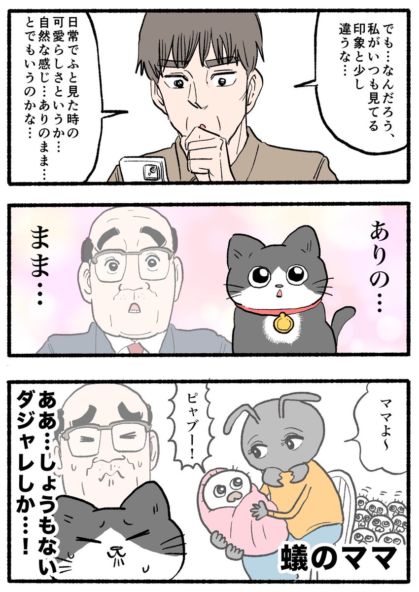 ねこおじ様 ねこに転生したおじさん。その908
