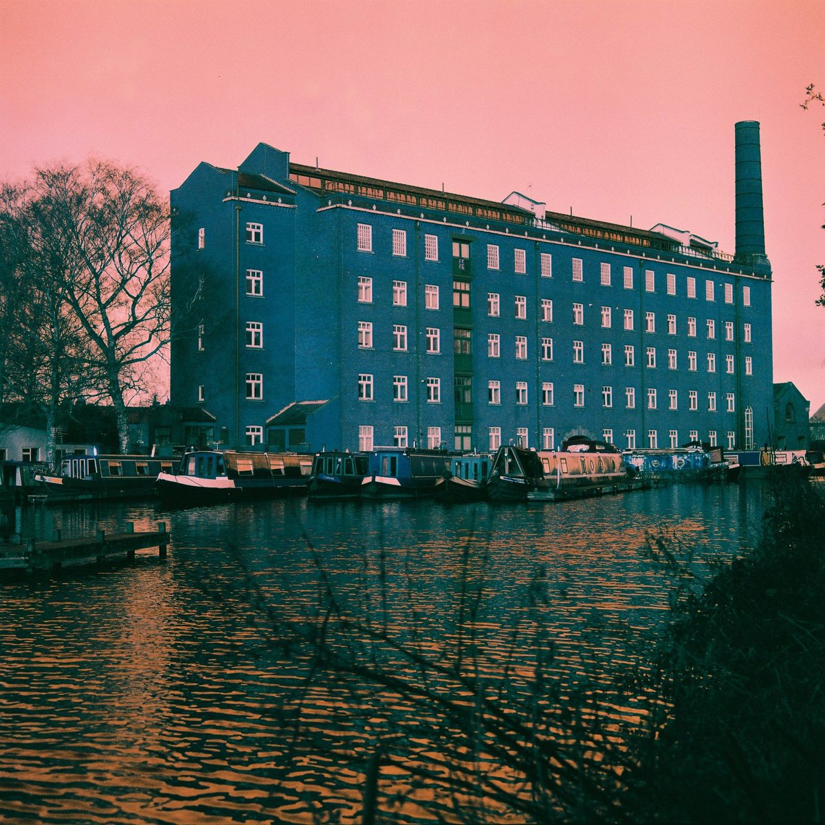 Harman Photo tweet media