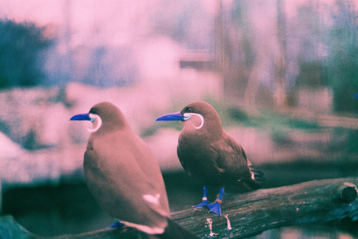 Harman Photo tweet media