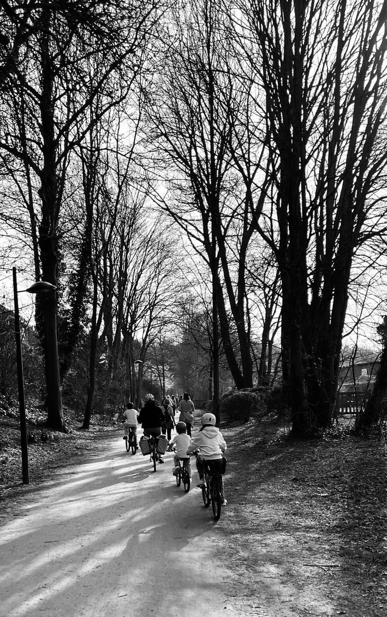 BernardoPiresdeLima tweet media