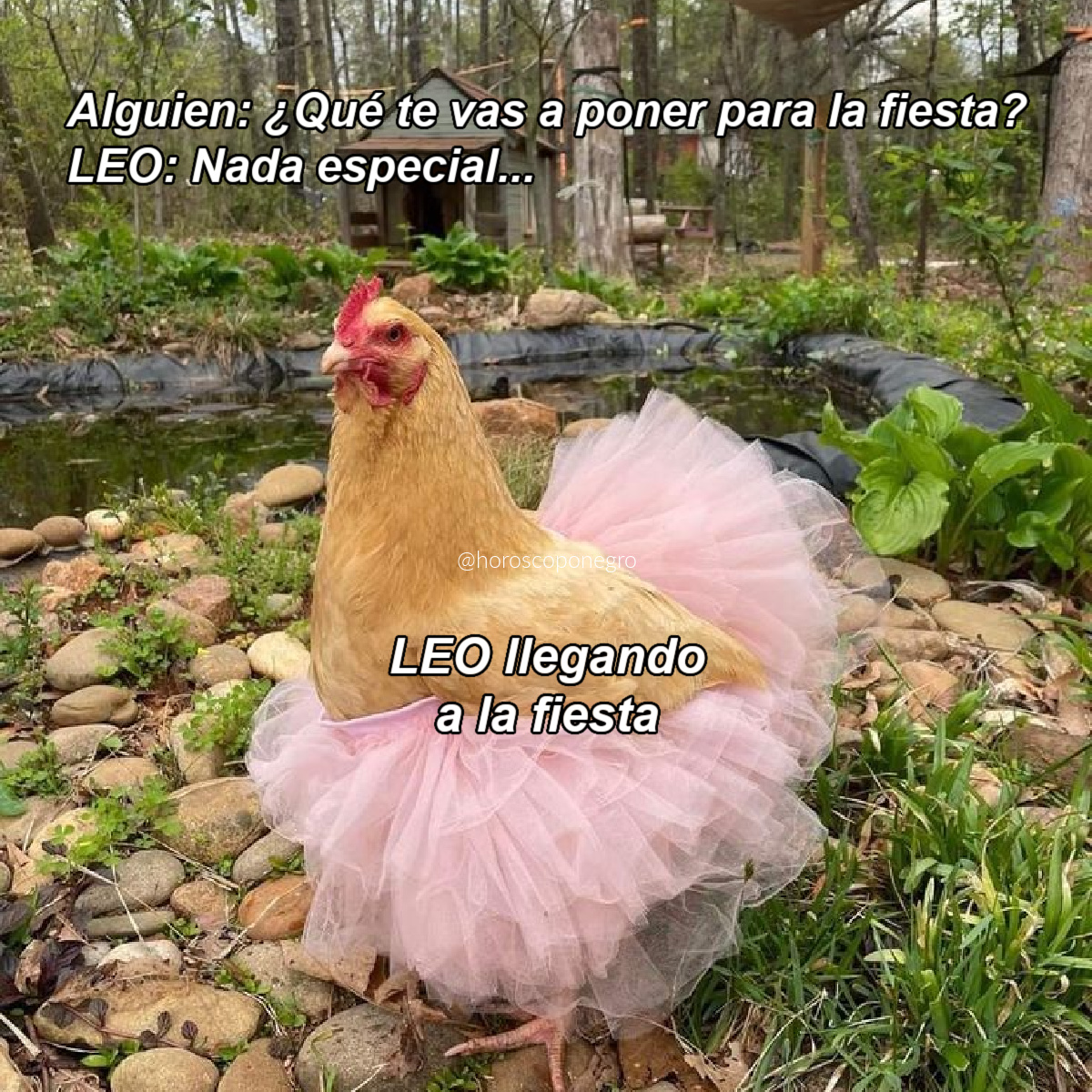 ▲LEO▲ (@leo_hnegro) on Twitter photo 