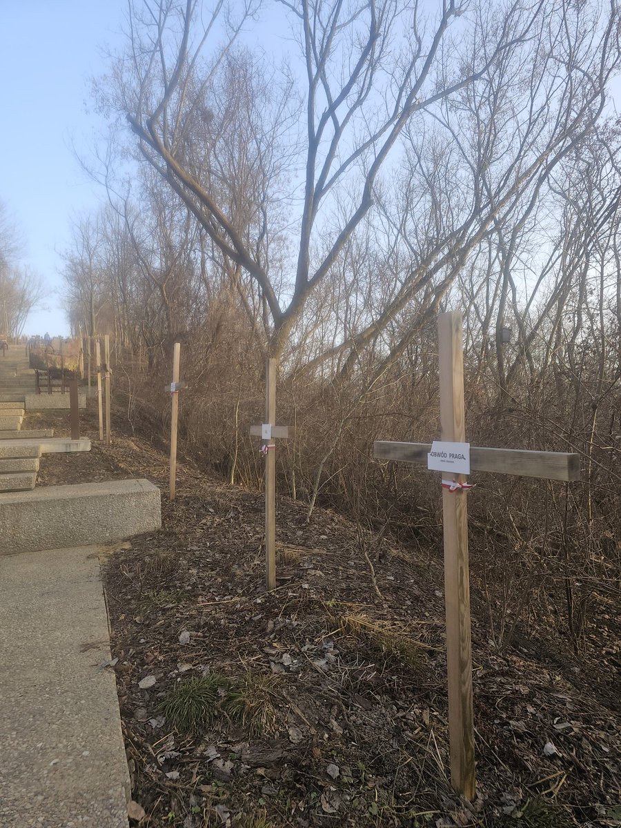 Radosław Sosnowski tweet media