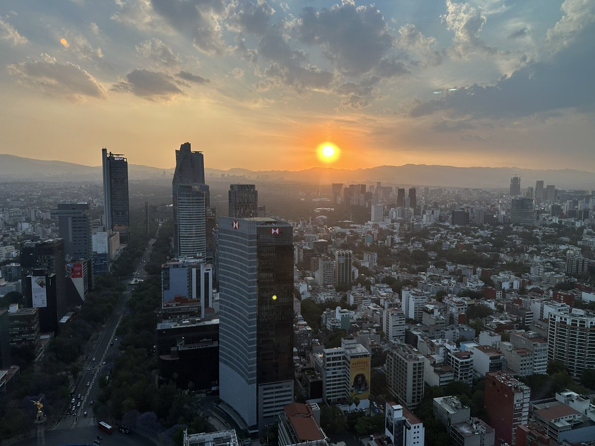 James Marshall Spector tweet media