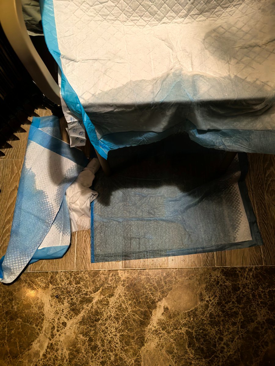 南京农（技术控射） tweet media