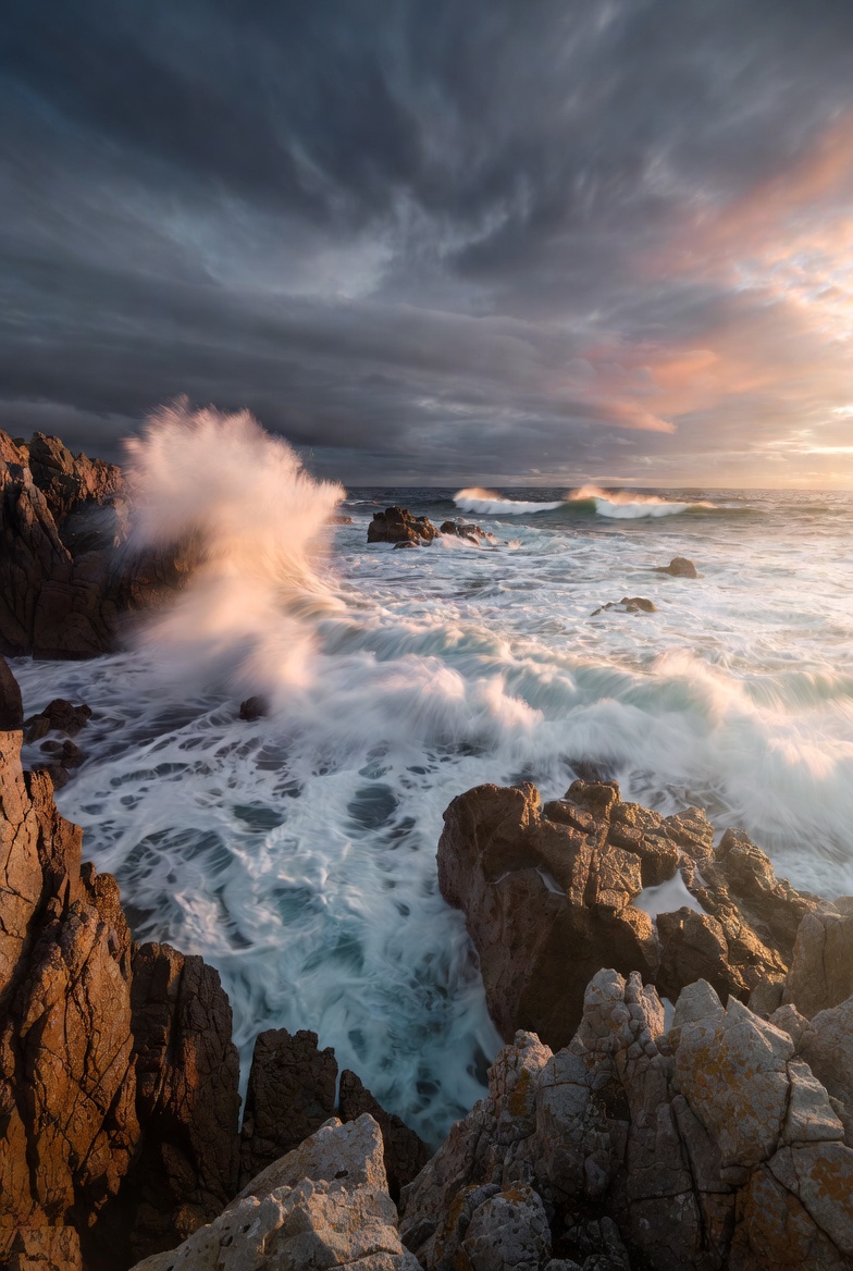 Scarlet Hunt tweet media