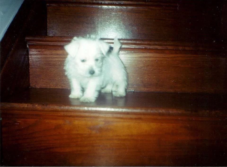 Jjust woke up,,,, hm ,,  where am ii??,