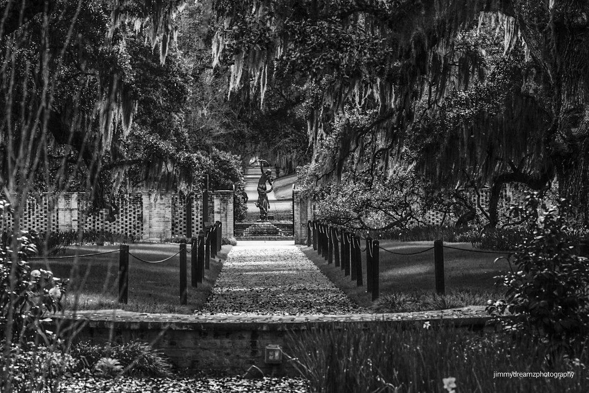 Jimmydreamsmb's tweet photo. B&amp;W capture of Live Oak Allee at Brookgreen Gardens and a sculpture by Anna Hyatt Huntingon that is titled “Diana In of the Chase.”
The garden is blooming and it's one of the best in the world.Please visit if you ever get to the area. 🙂
#localphotographer https://t.co/YTO0KDBm7g