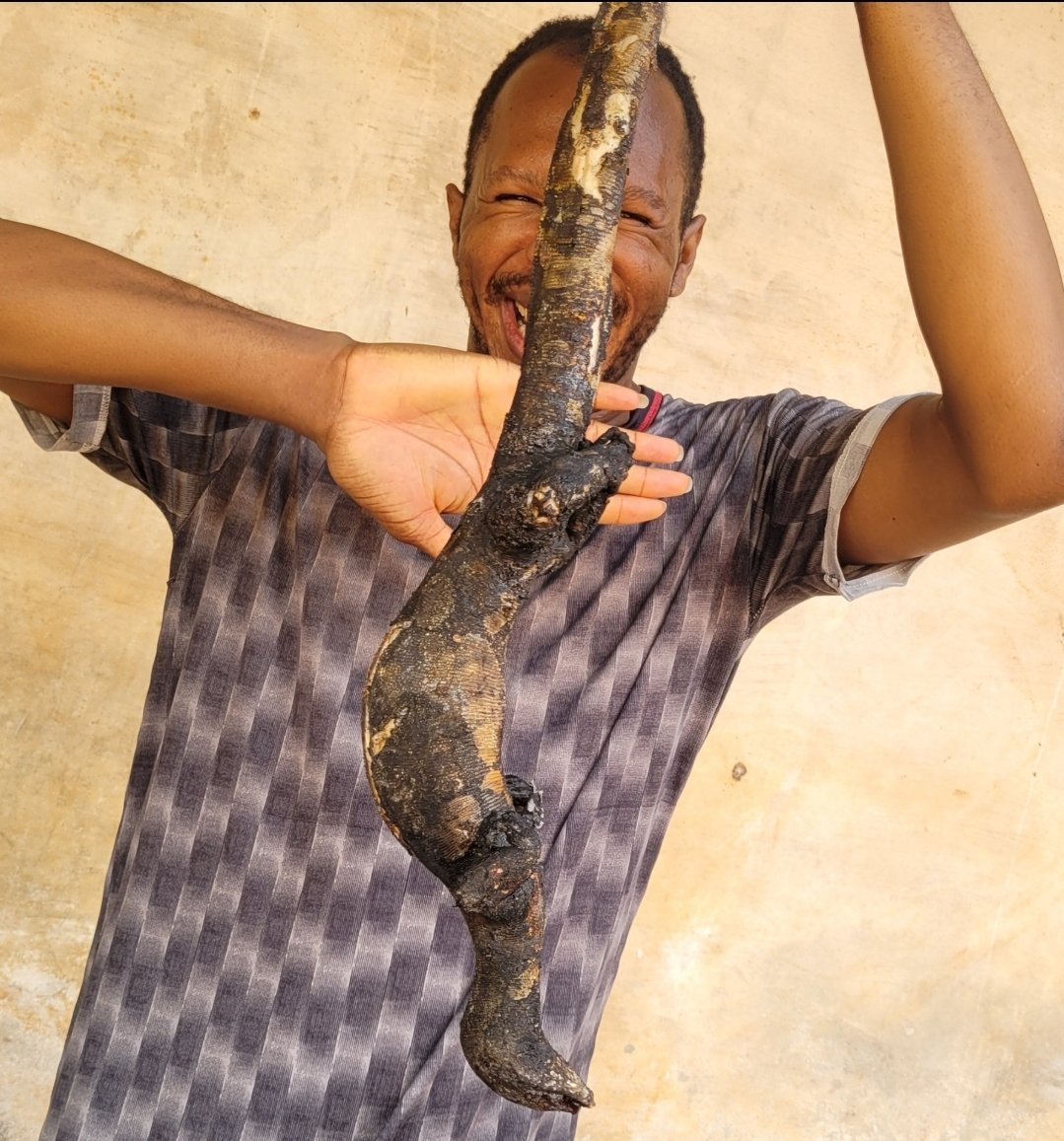 Prince_pablo23's tweet photo. Daniel Regha just leveled up the pepper soup gameโcooking LIZARD today! ๐ฑ๐ Who's trying this exotic Naija delicacy? ๐ฅ #DanielRegha #PepperSoup #LizardPepperSoup #NaijaFood #Viral #Lagos https://t.co/bs1X3SJNML