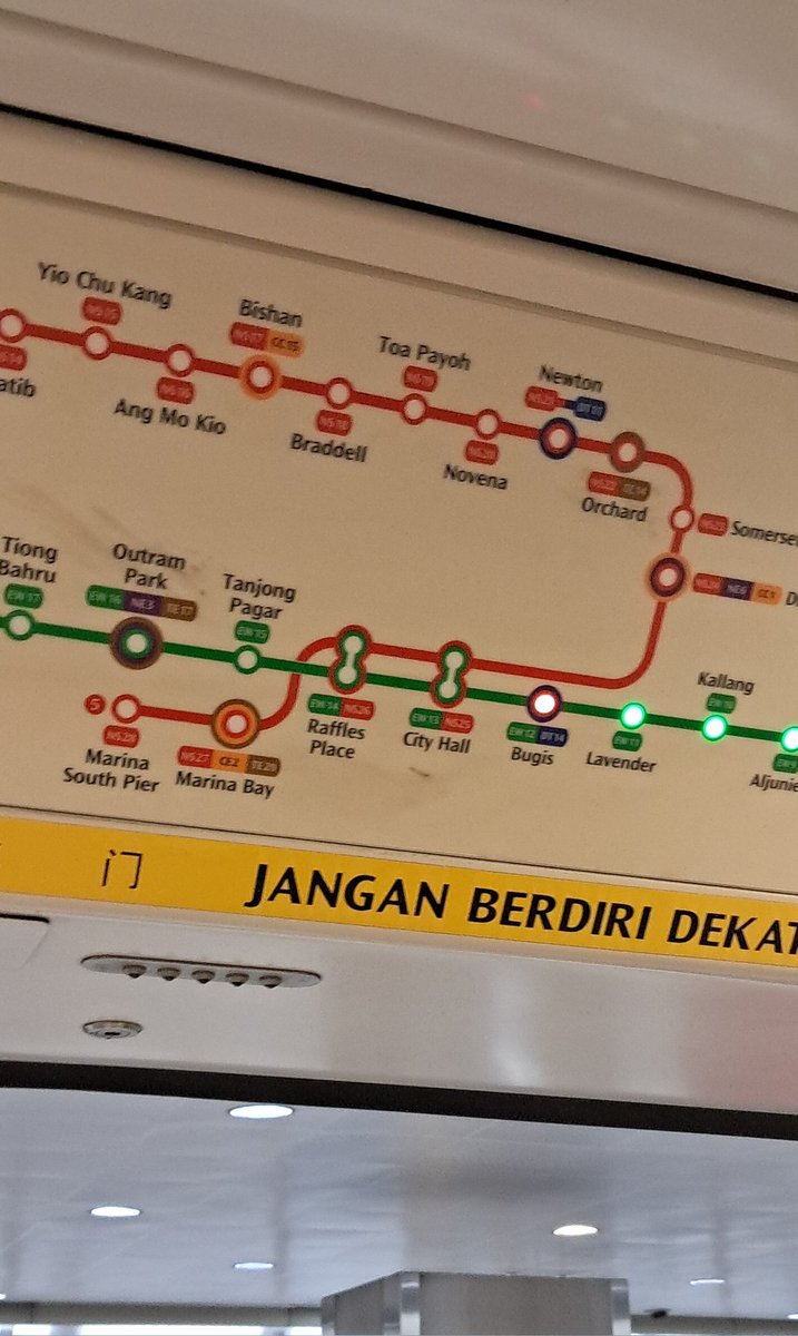 ☀️🌲breadunderscore 🇳🇫 tweet media