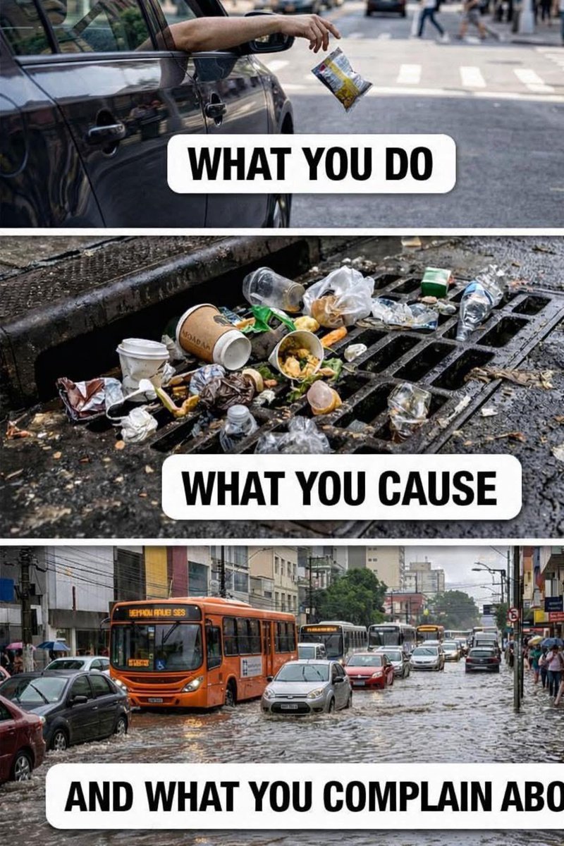 Environment Parliament tweet media