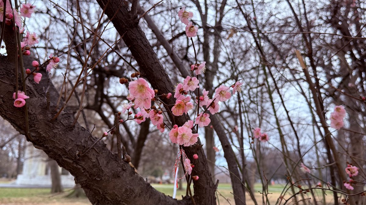 Matthew Henry tweet media