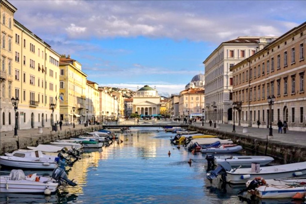 Nick Short 🇺🇦 tweet media