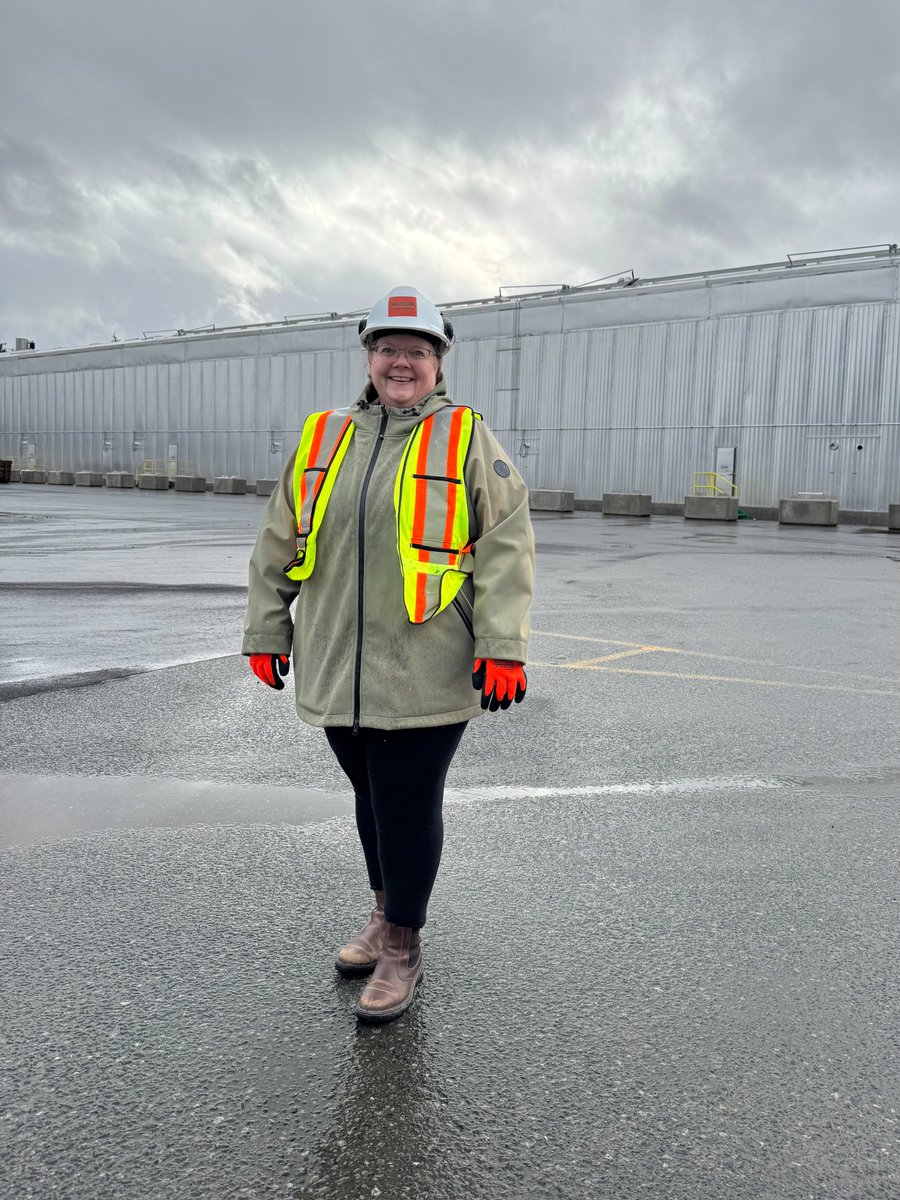 Western Forest Products tweet media