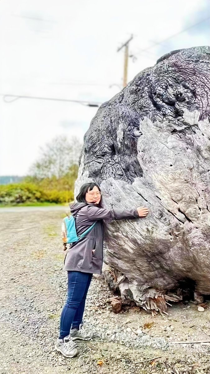 Western Forest Products tweet media