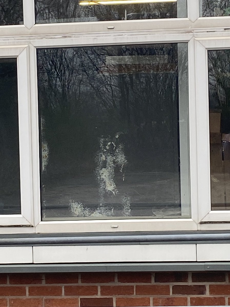 John Bidder tweet media