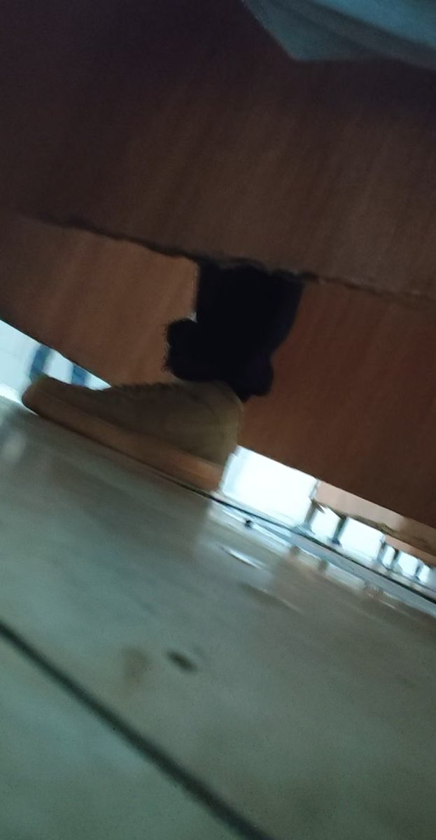 奶茶🧋 tweet media