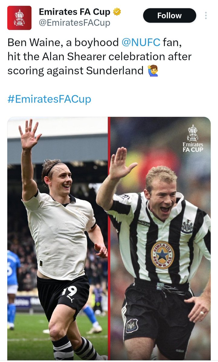 BackPageNewcastle tweet media