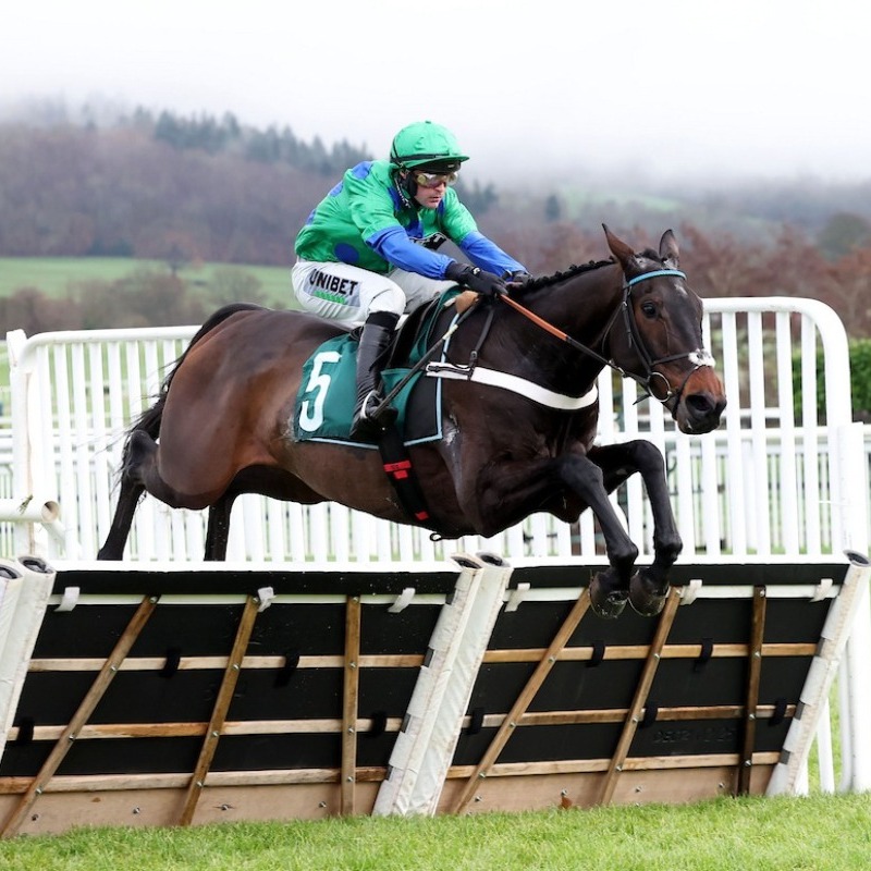 RacingTV's tweet photo. A host of @Race_IQ material to help your Cheltenham punting 🔞 👇🏻

◼️ @StevoGG what the stride data tells us about five key horses
◼️ Race IQ day one clues 
◼️ Race IQ Gold Cup clues
◼️ Stats &amp; facts for all four days
◼️ Download the official Race IQ pack for the 12 Grade Ones