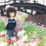 Photo by 平 (@Hanping_K)