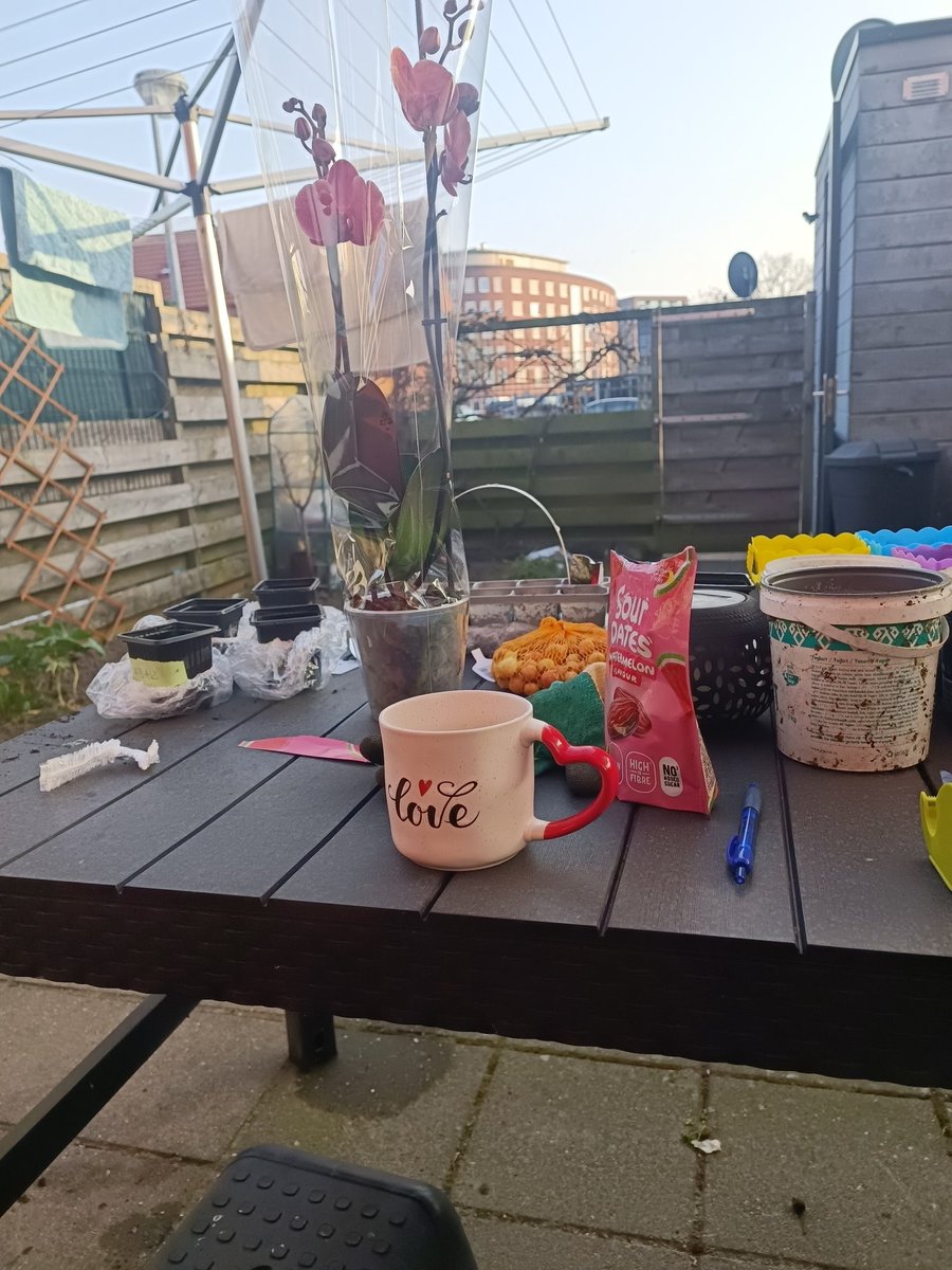 Дида 🇧🇬/🇳🇱 tweet media