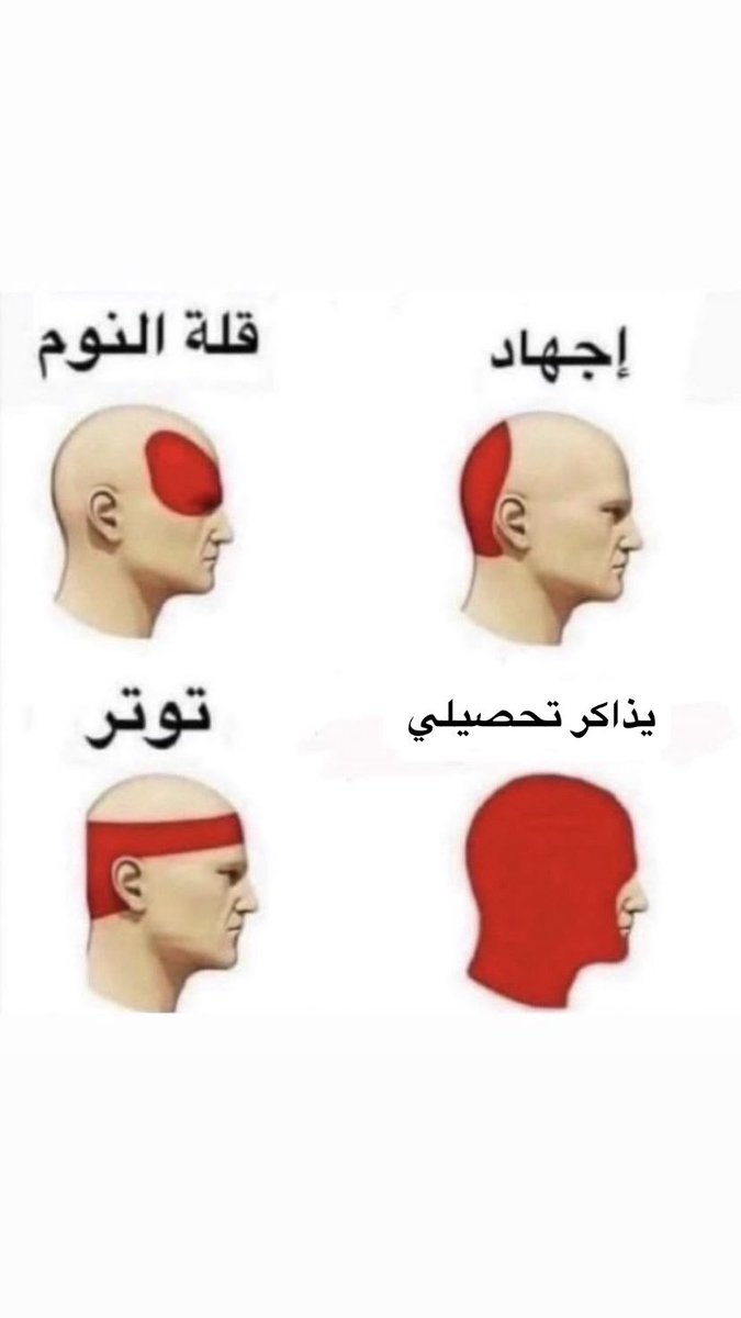 ⭐️| Gap year tweet media