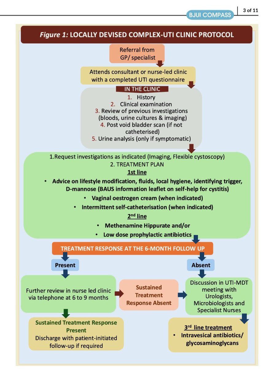 Mehwash Nadeem tweet media
