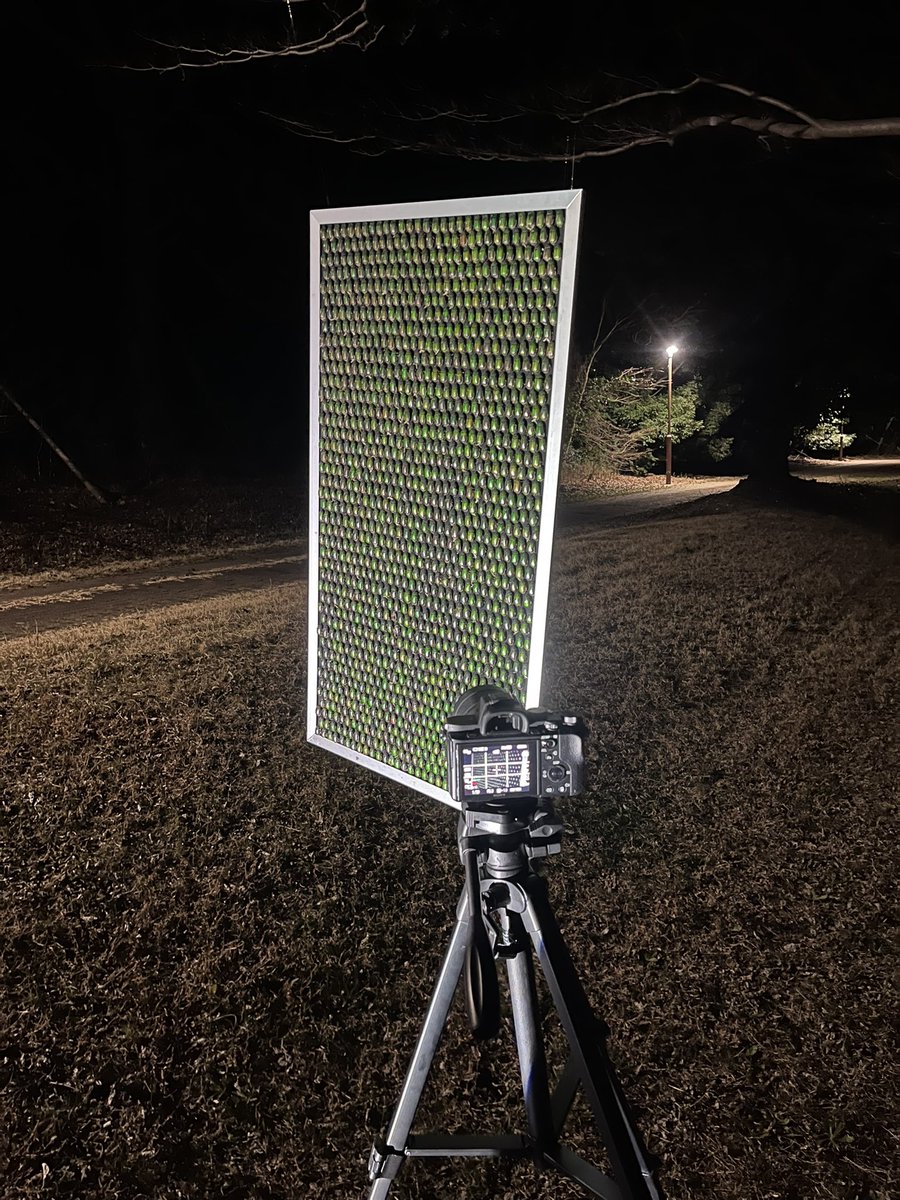 佃 優河/Yuga Tsukuda💩🦗🪲 tweet media