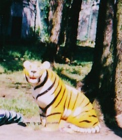 Alfred Beach Sandal tweet media