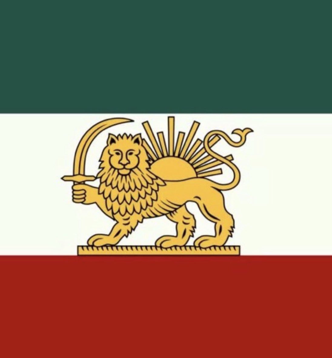 mahsa mhsnni tweet media