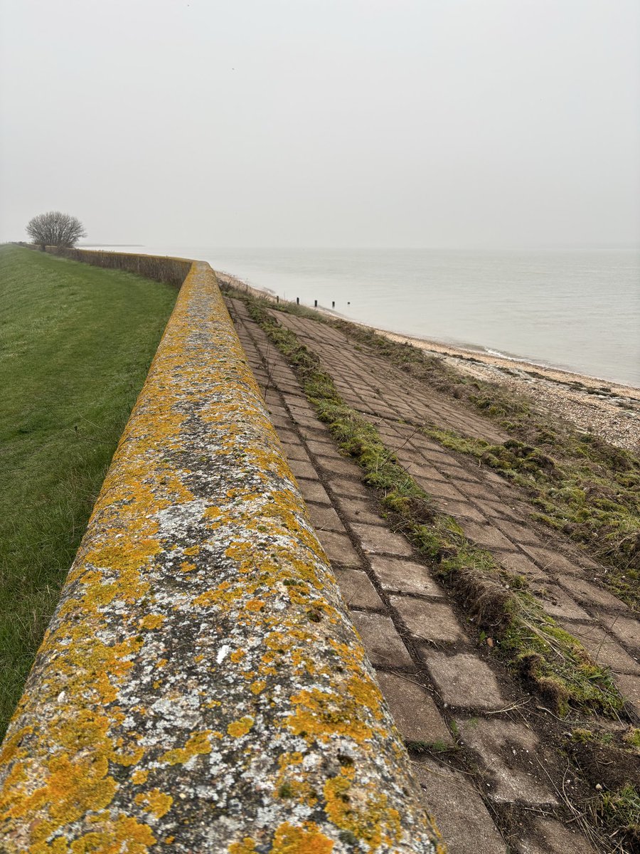 Mike Gould tweet media