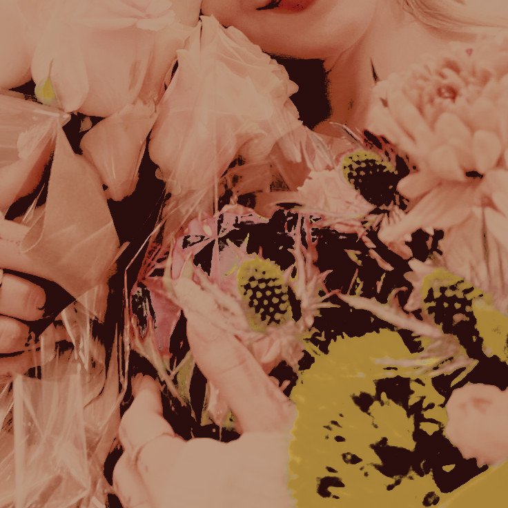 ᅟ𝐞𝔃𝐞𝐤𝐢𝐞𝐥ᅟ♰ᅟ𝐩𝐚𝐫𝐤𝐞𝐫. tweet media