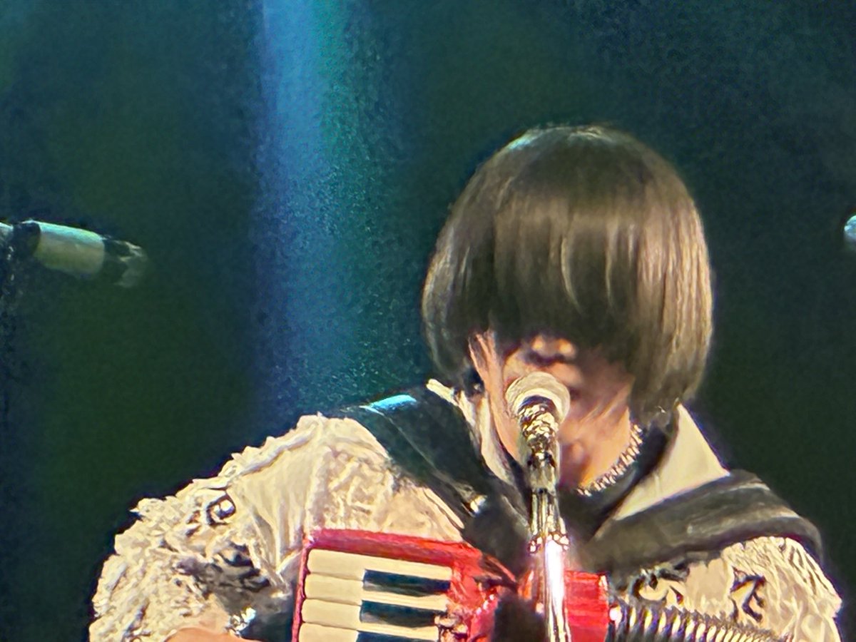 DEAD ROCK PROJECT/D.R.P tweet media