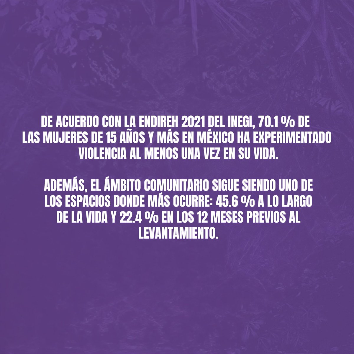 Class Music tweet media