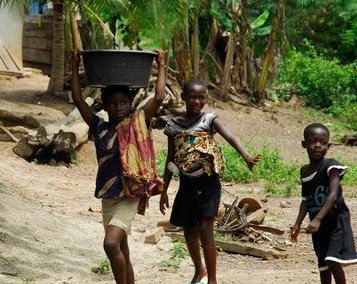 African Well Fund tweet media