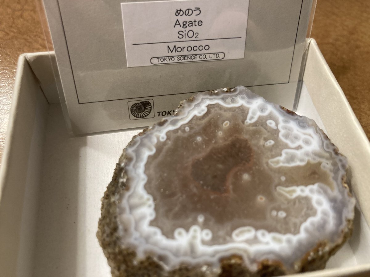 ue@( Ꙭ )ᵎᵎᵎ💉💉💉💉 tweet media