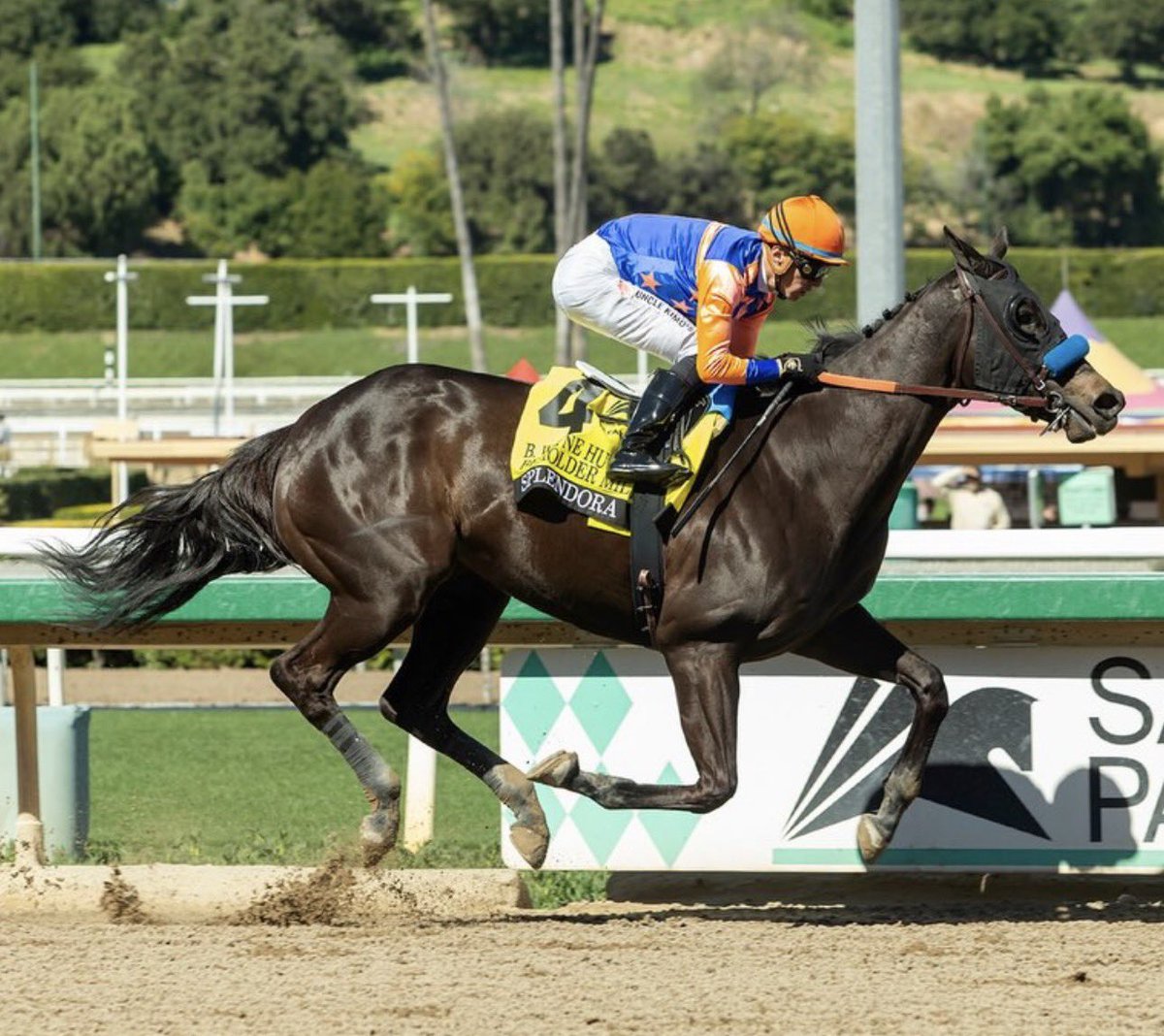 Stakes Winners 🏆 tweet media