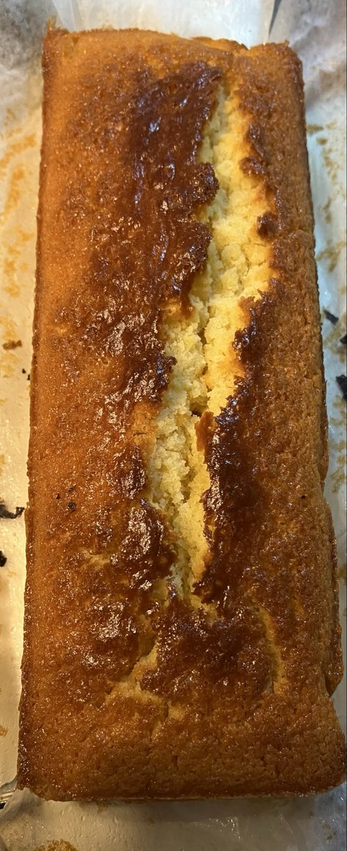 Maître Cyno tweet media